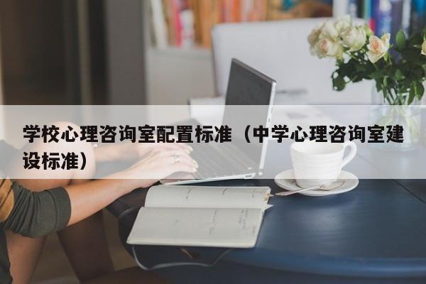 学校心理咨询室配置标准（中学心理咨询室建设标准）