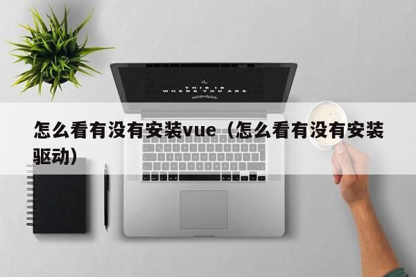 怎么看有没有安装vue（怎么看有没有安装驱动）