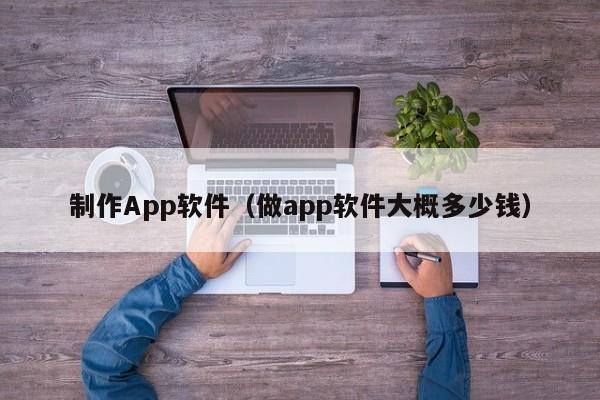 制作App软件（做app软件大概多少钱）