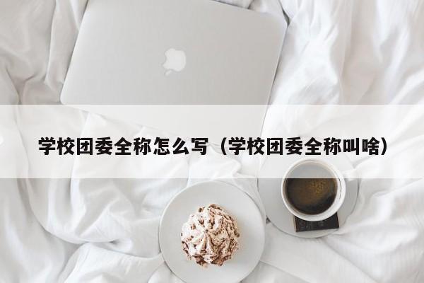 学校团委全称怎么写（学校团委全称叫啥）