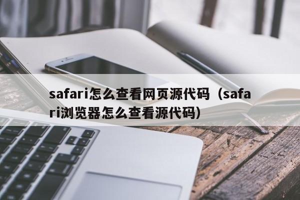 safari怎么查看网页源代码（safari浏览器怎么查看源代码）