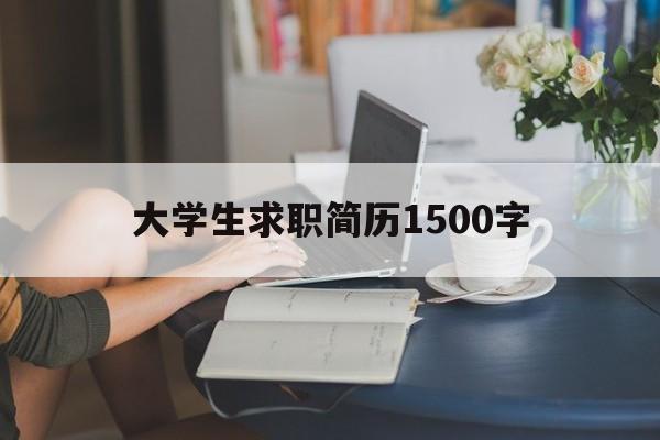 大学生求职简历1500字(大学生个人求职简历500字)