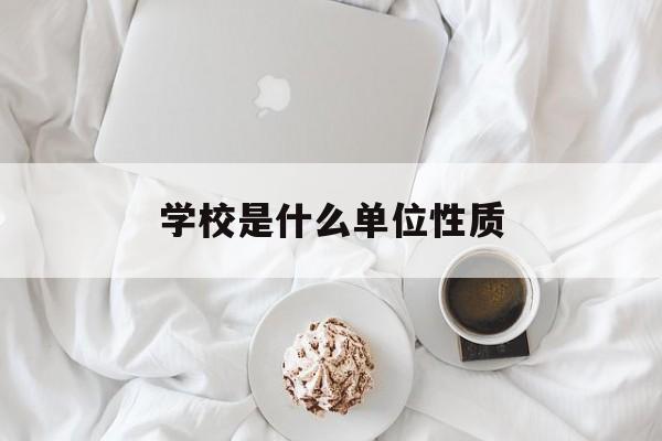 学校是什么单位性质(培训学校是什么单位性质)