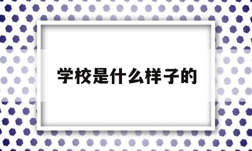 学校是什么样子的(我未来的学校是什么样子的)