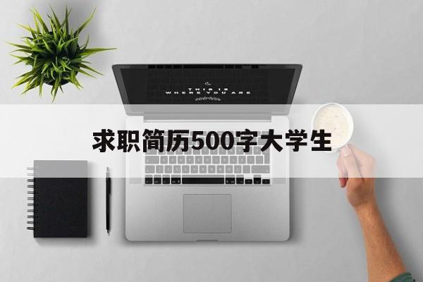 求职简历500字大学生(求职简历500字大学生怎么写)