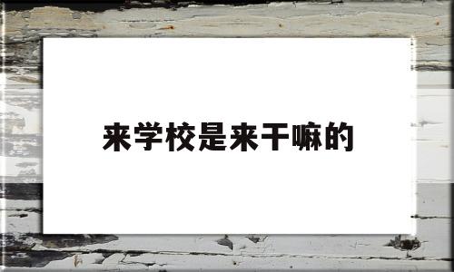 来学校是来干嘛的(来学校是来干嘛的周记)