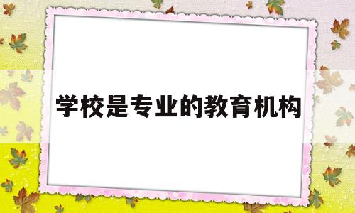 学校是专业的教育机构(学校教育是由专业的教育工作者进行的)