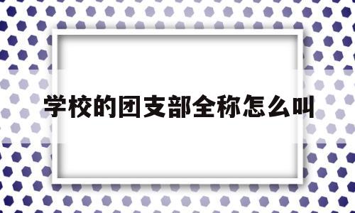 学校的团支部全称怎么叫(学校的团支部全称怎么叫的)