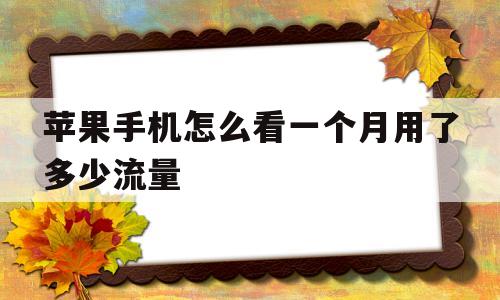苹果手机怎么看一个月用了多少流量(苹果手机在哪里看一个月用了多少流量)