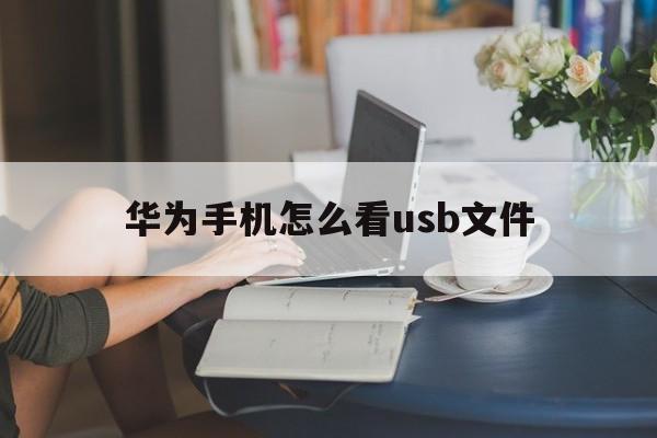 华为手机怎么看usb文件(华为手机怎么看usb文件传输)