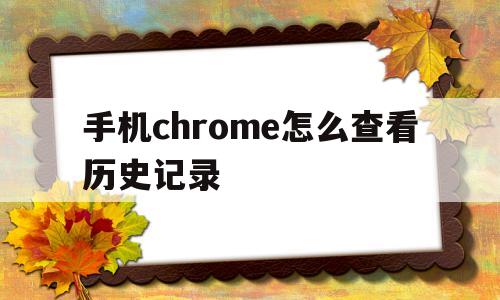 手机chrome怎么查看历史记录(手机chrome 历史记录在哪个文件夹)