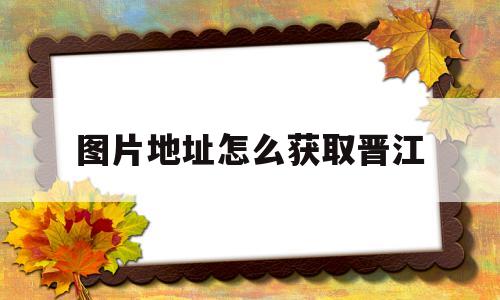 图片地址怎么获取晋江(图片地址怎么获取晋江手机)