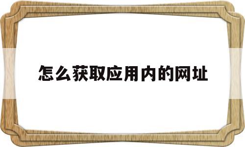 怎么获取应用内的网址(怎么获取应用内的网址信息)