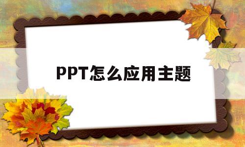 PPT怎么应用主题(ppt中怎么应用主题)