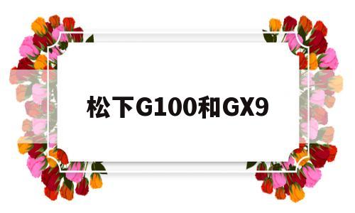 松下G100和GX9(松下G100和GF10)