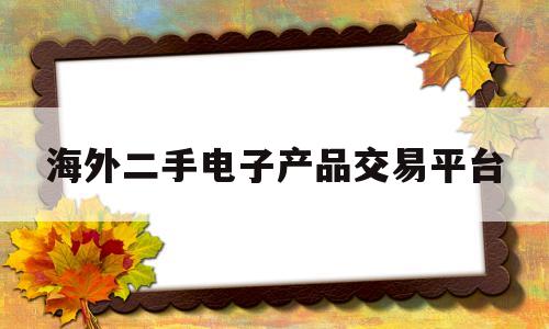 海外二手电子产品交易平台(海外二手电子产品交易平台排名)