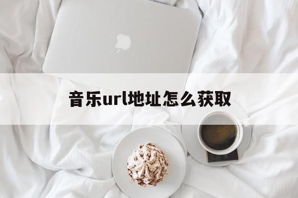 音乐url地址怎么获取的简单介绍