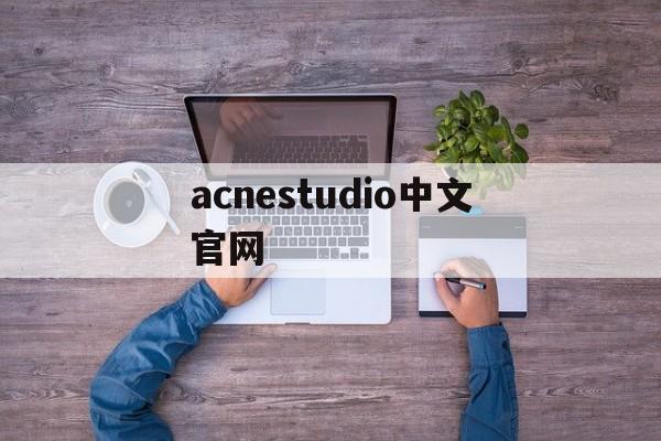 acnestudio中文官网(acnestudios中文叫什么)