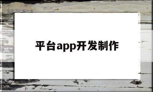 平台app开发制作(平台app开发制作视频教学)