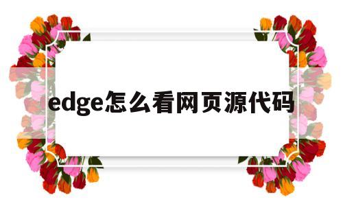 edge怎么看网页源代码(新版edge网页源代码乱码)