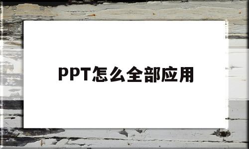 PPT怎么全部应用(ppt怎么全部应用背景图片)