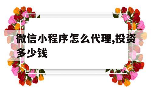 微信小程序怎么代理,投资多少钱(微信小程序怎么加盟代理,加盟费多少)