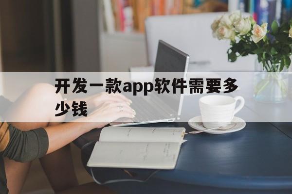 开发一款app软件需要多少钱(开发一款app软件需要多少钱知乎)