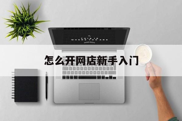 怎么开网店新手入门(京东怎么开网店新手入门)