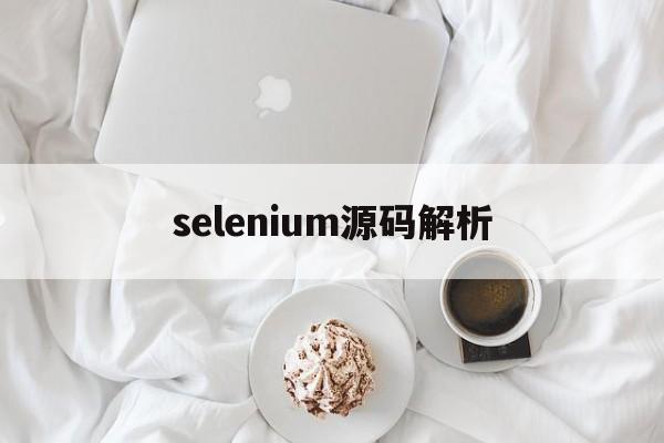 关于selenium源码解析的信息