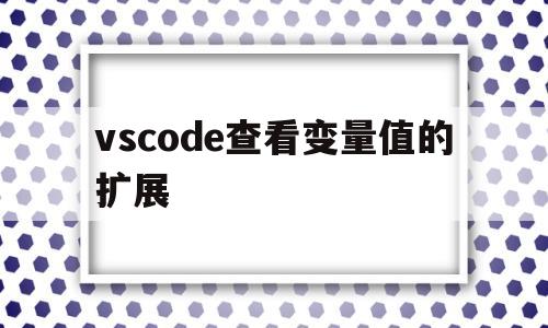 vscode查看变量值的扩展(vscode怎么快速查看函数定义)