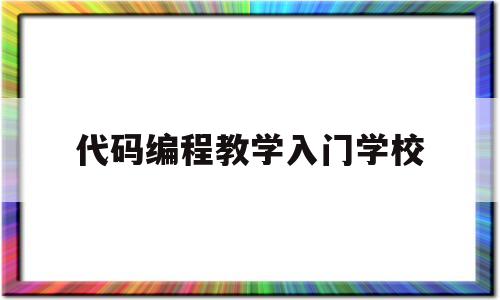 代码编程教学入门学校(黑客代码编程教学入门手机)