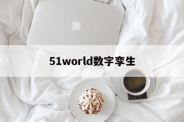 51world数字孪生(51world数字孪生和数字冰雹)