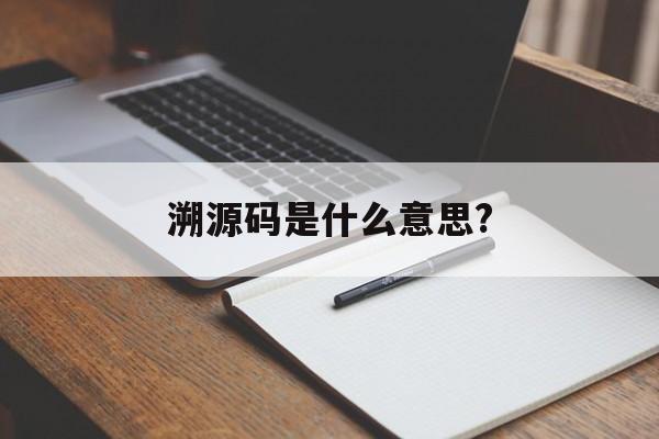 溯源码是什么意思?(现在汉语词典溯源码是什么意思)