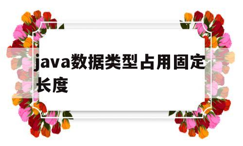 java数据类型占用固定长度(java中数据类型存储空间最大的是)