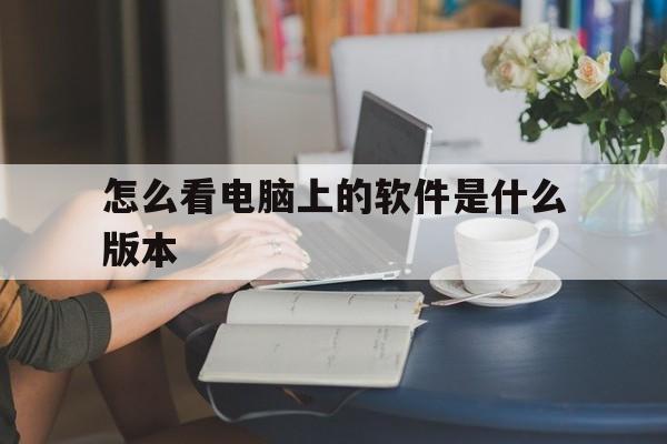 关于怎么看电脑上的软件是什么版本的信息