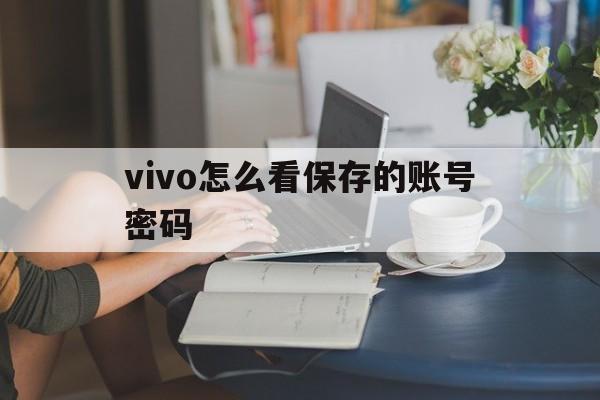 vivo怎么看保存的账号密码(vivo手机保存的账号密码在哪里)