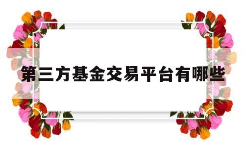 第三方基金交易平台有哪些(pubg第三方交易平台有哪些)