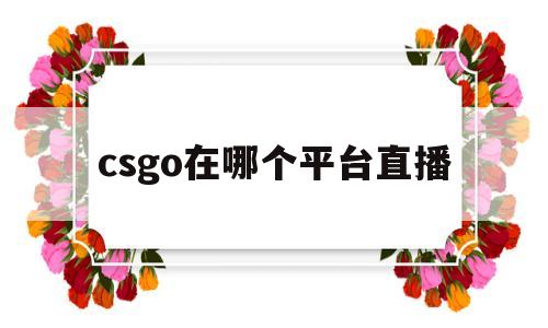 csgo在哪个平台直播(csgo直播在哪个平台看好)