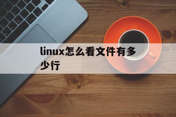 linux怎么看文件有多少行(linux如何查看一个文件有多少行)