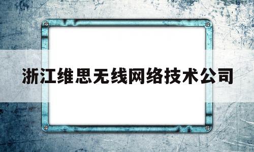 浙江维思无线网络技术公司(浙江维思无线网络技术公司怎么样)