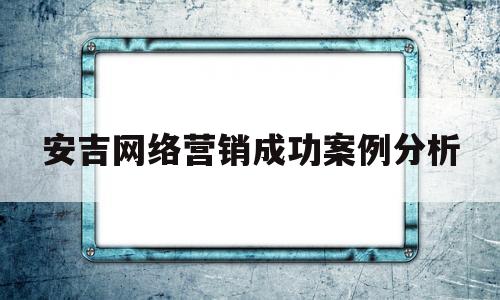 安吉网络营销成功案例分析的简单介绍