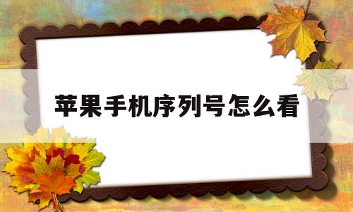 苹果手机序列号怎么看(苹果手机序列号怎么看生产日期)