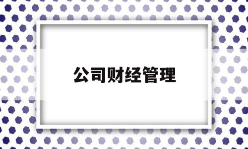 公司财经管理(公司财务经理的主要职责)