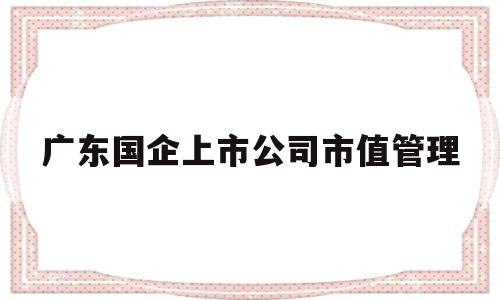 广东国企上市公司市值管理(广东省属国有上市公司集体业绩说明会在深交所举行)