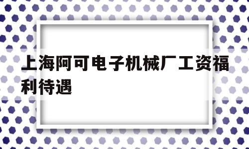 上海阿可电子机械厂工资福利待遇的简单介绍