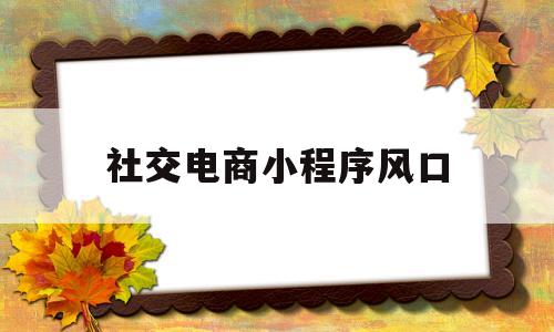 社交电商小程序风口(社交电商小程序有哪些)