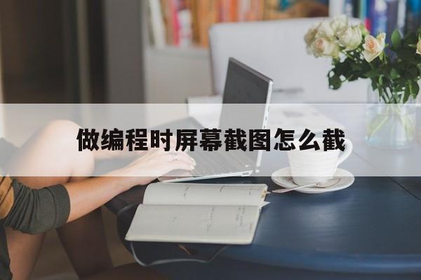 做编程时屏幕截图怎么截(做编程时屏幕截图怎么截的)