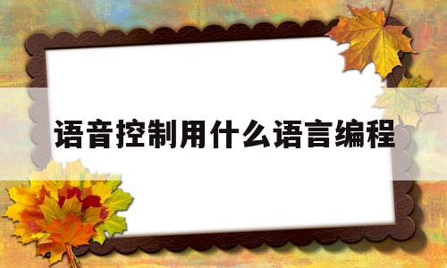 语音控制用什么语言编程(机械控制编程哪种语言最好)