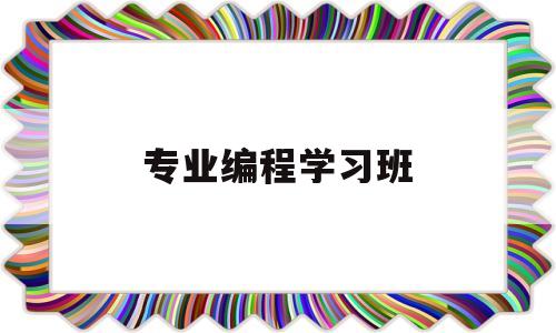 专业编程学习班(专门学编程的学校)