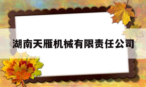 湖南天雁机械有限责任公司的简单介绍